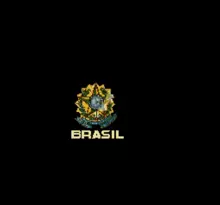 Image n° 1 - screenshots  : Futebol Brasileiro '96